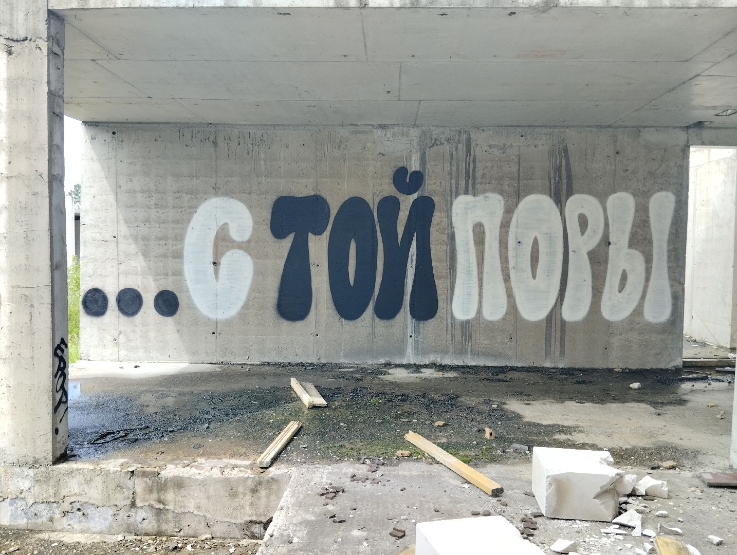 Строительство, долгострой, дольщики, Старая Купавна, Богородский городской округ