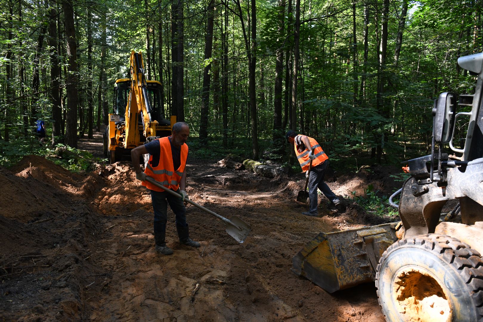 лыткарино, благоустройство, лесопарк