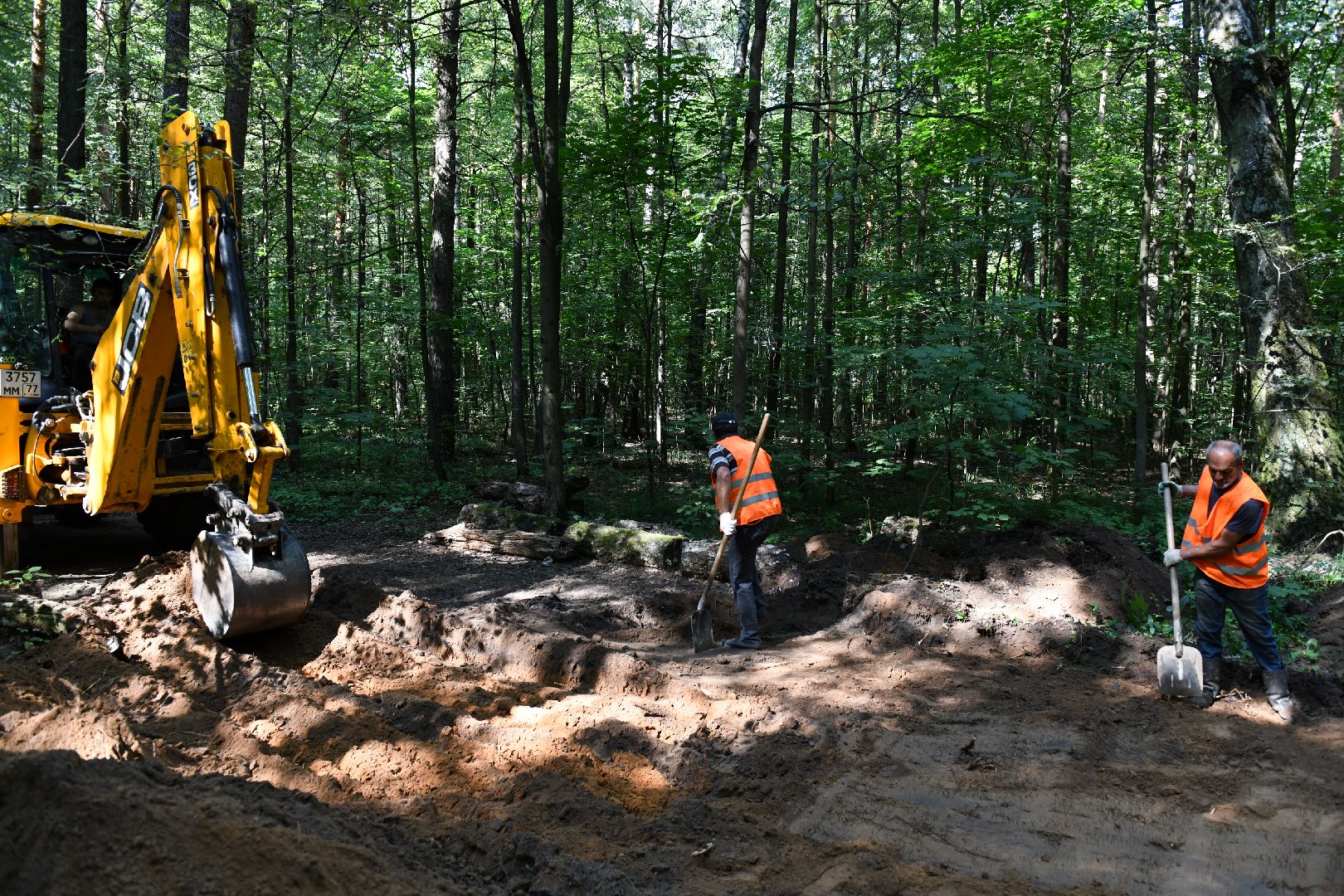 лыткарино, благоустройство, лесопарк