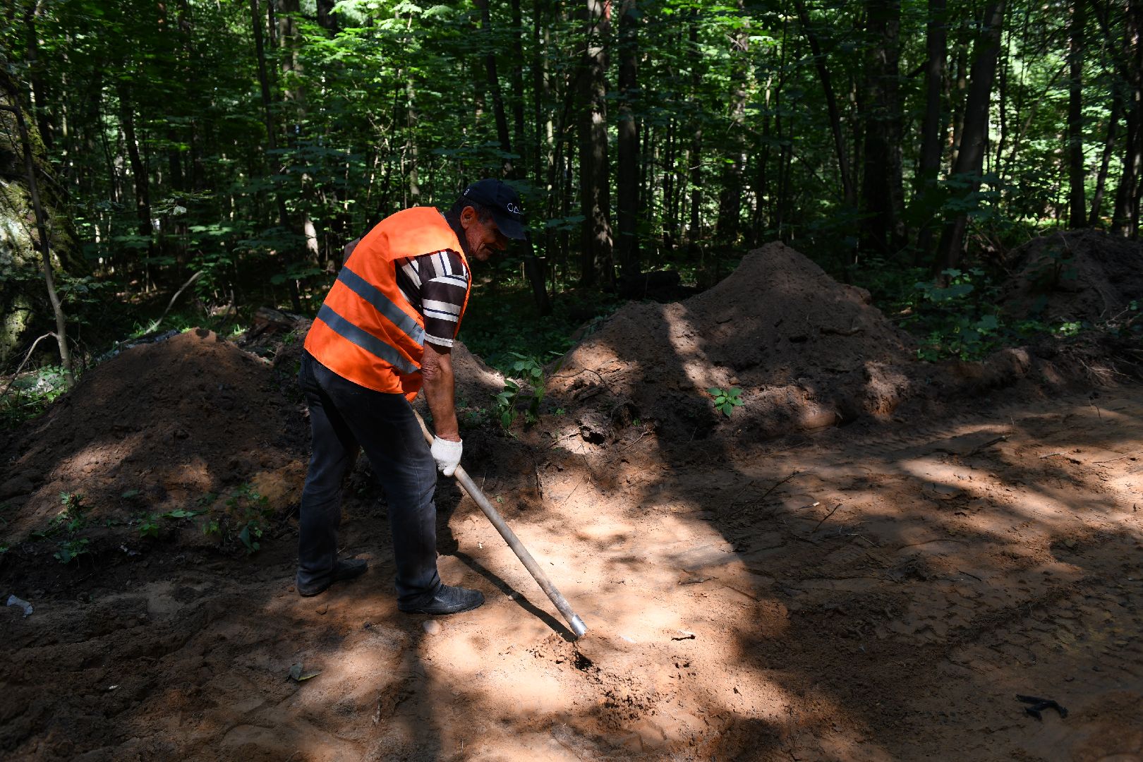 лыткарино, благоустройство, лесопарк