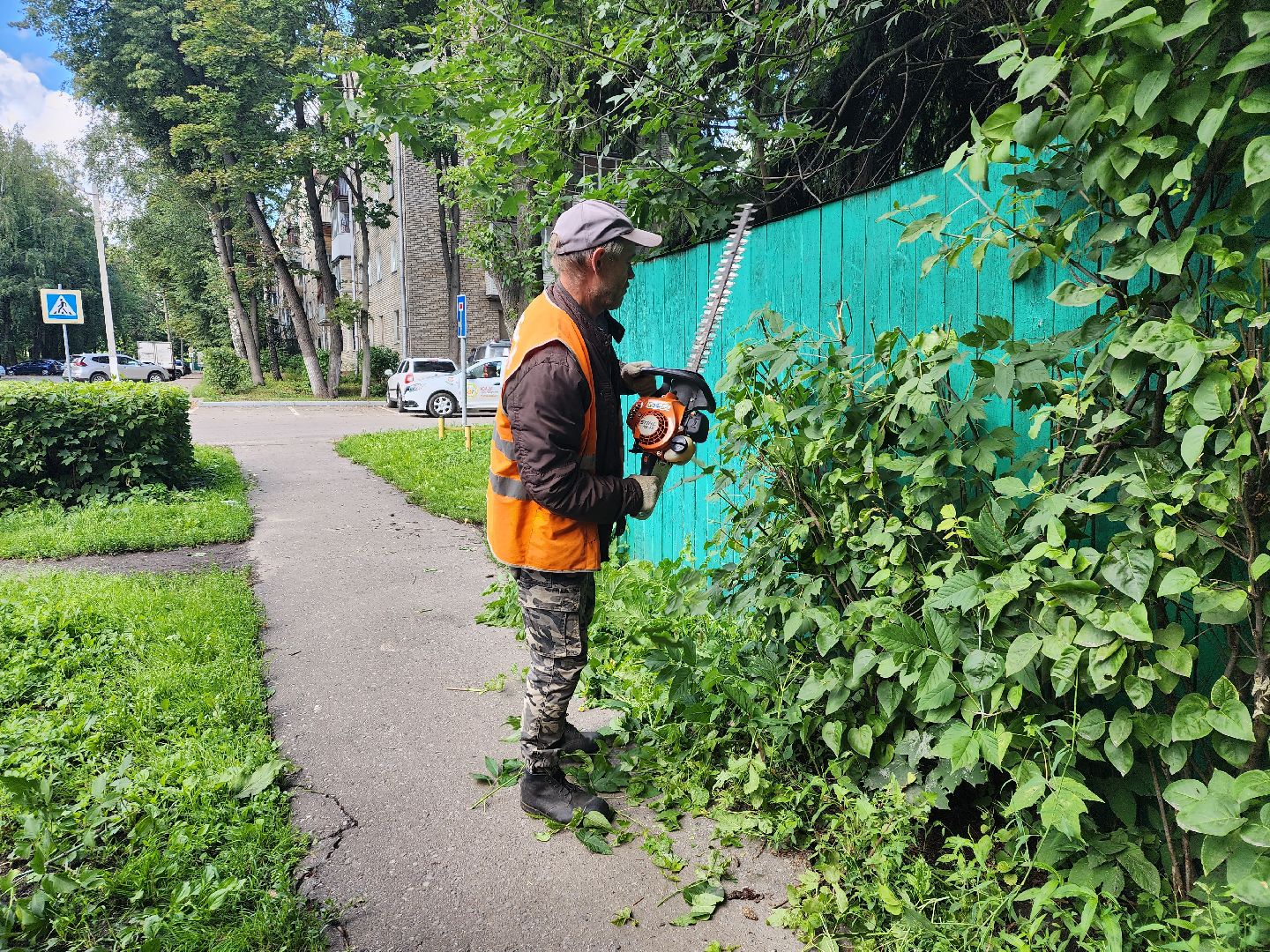 Пушкино, ЖКХ, деревья, обрезка