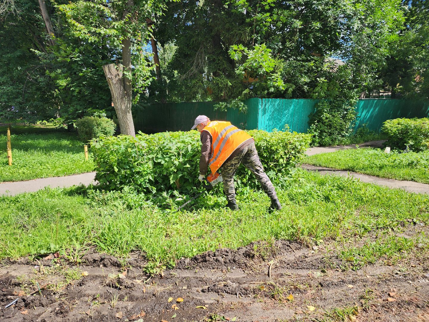 Пушкино, ЖКХ, деревья, обрезка