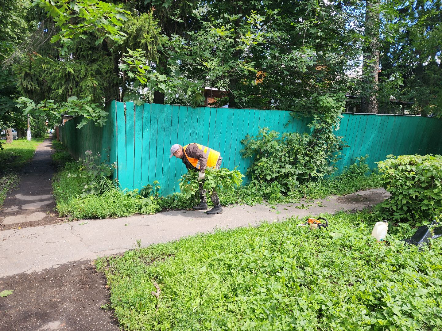 Пушкино, ЖКХ, деревья, обрезка