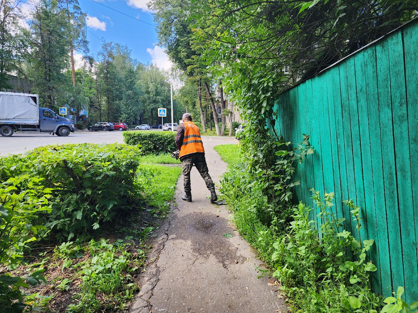 Пушкино, ЖКХ, деревья, обрезка