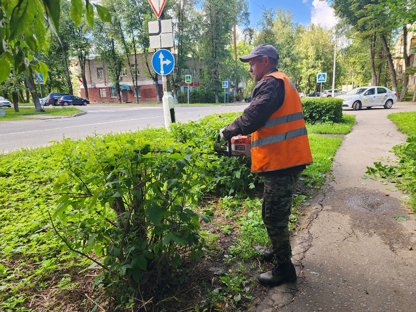 Пушкино, ЖКХ, деревья, обрезка