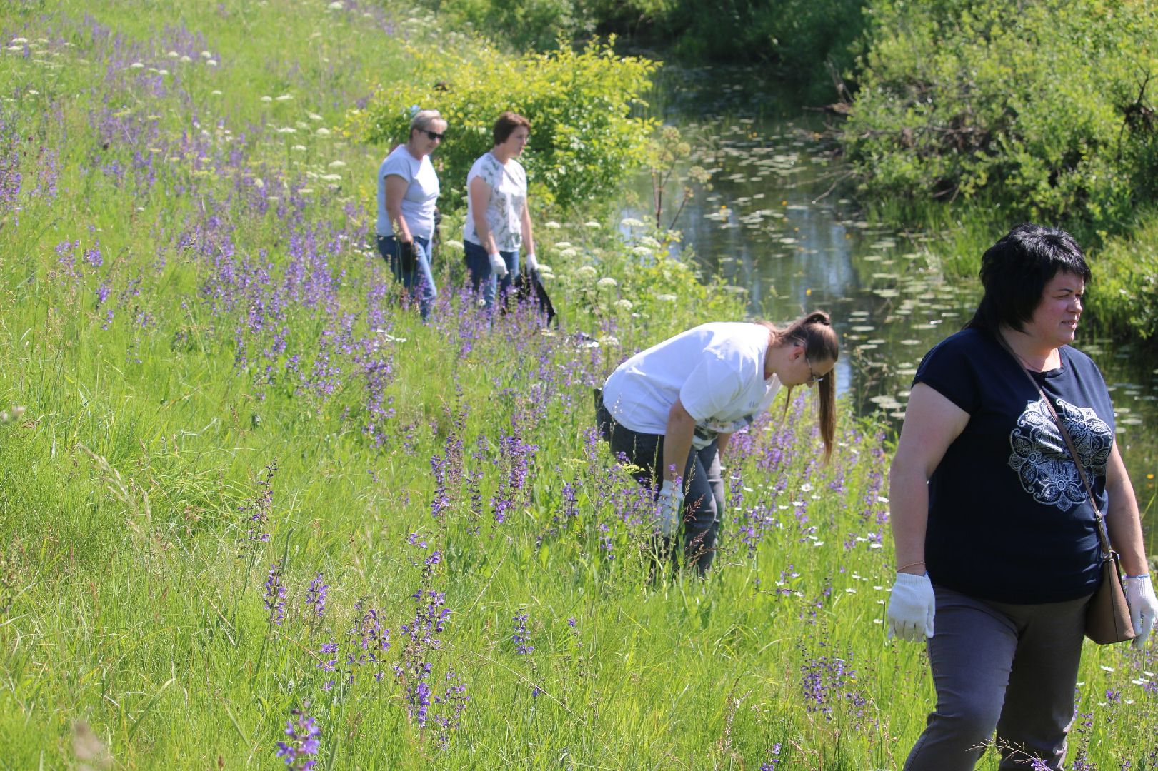 Серебряные Пруды, Экология