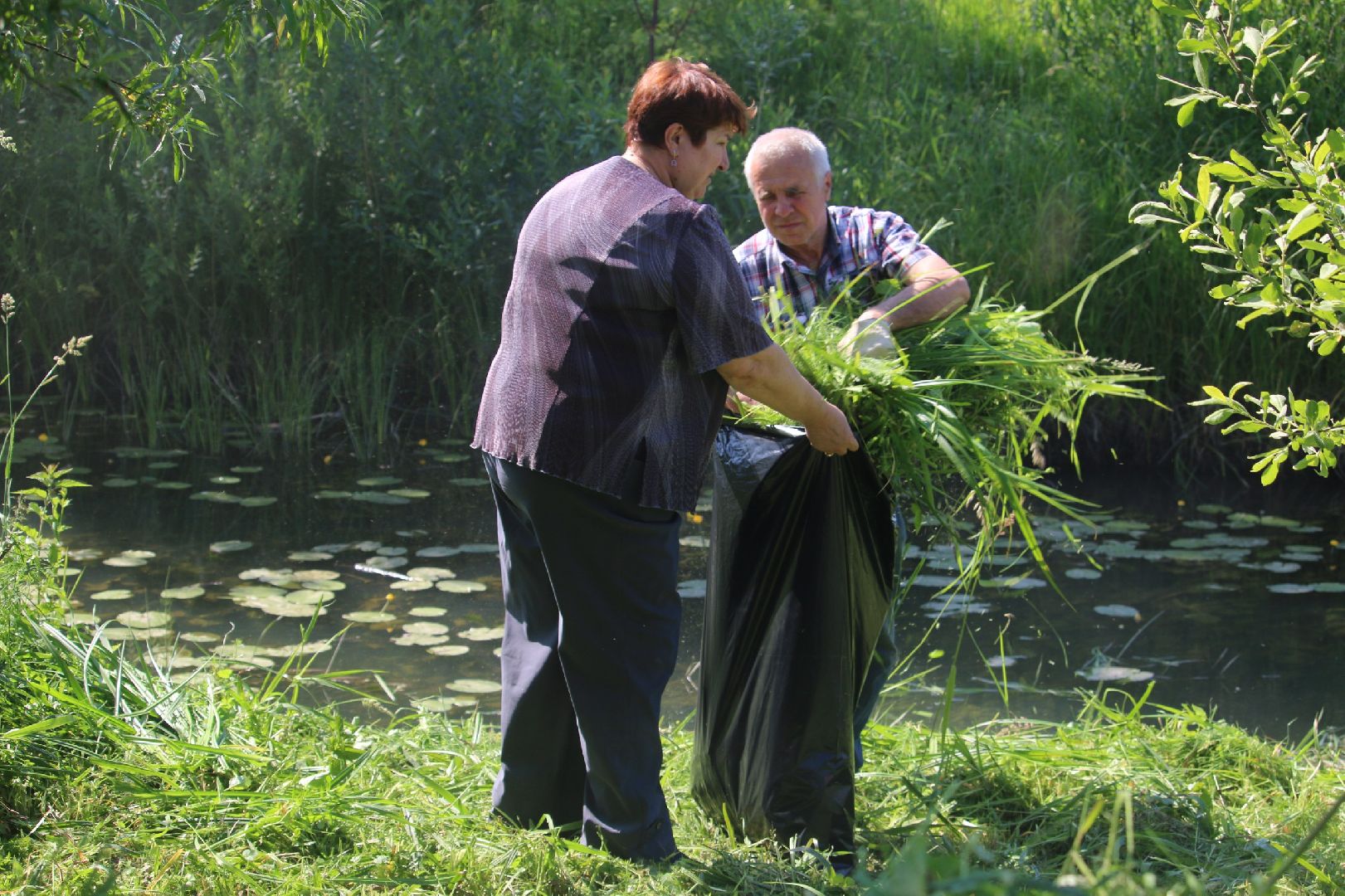 Серебряные Пруды, Экология