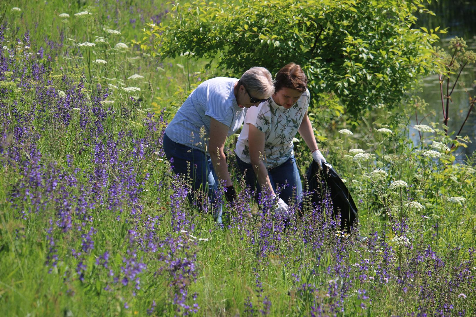Серебряные Пруды, Экология