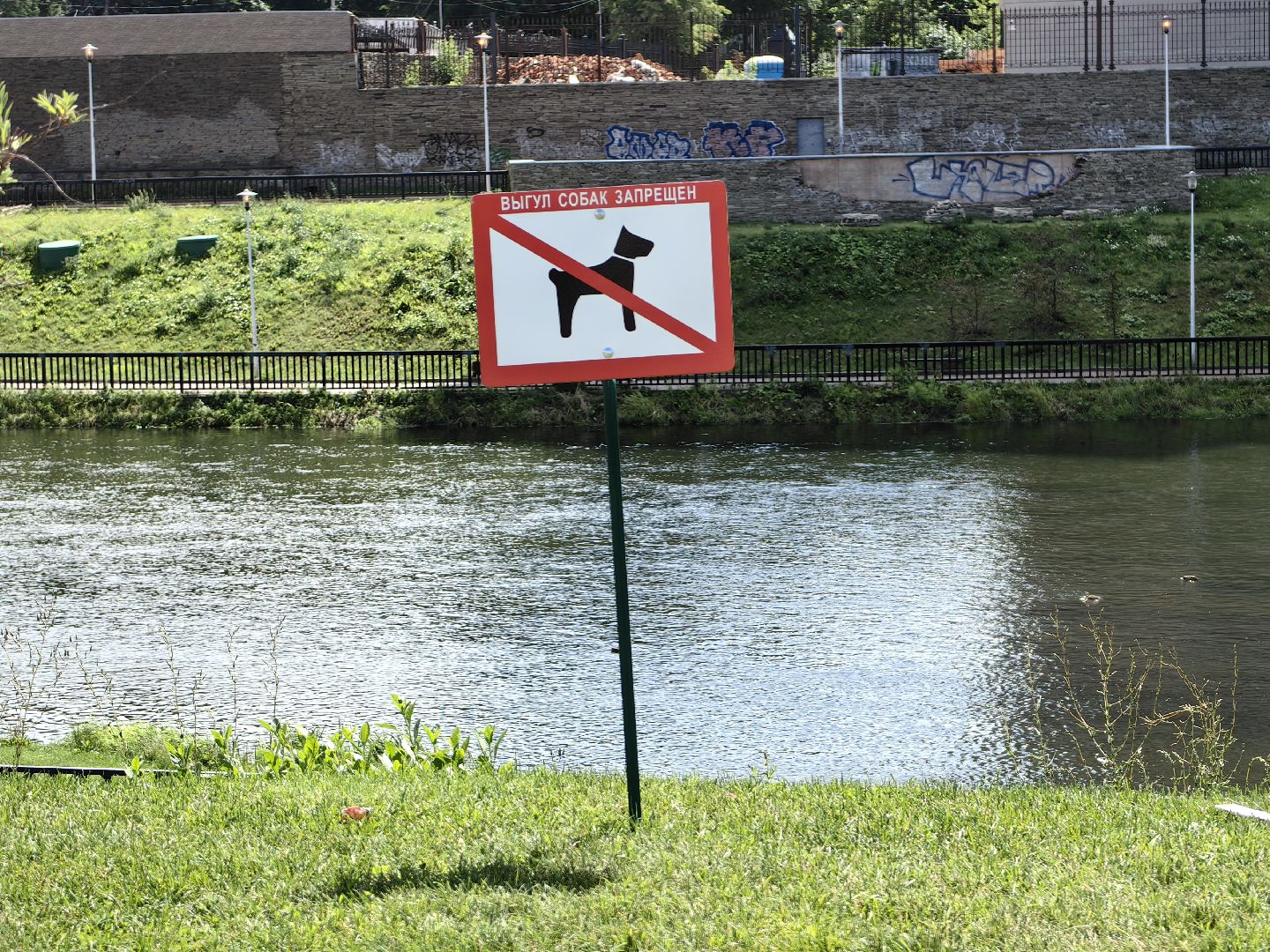 Собака, выгул, табличка, набережная, намордник