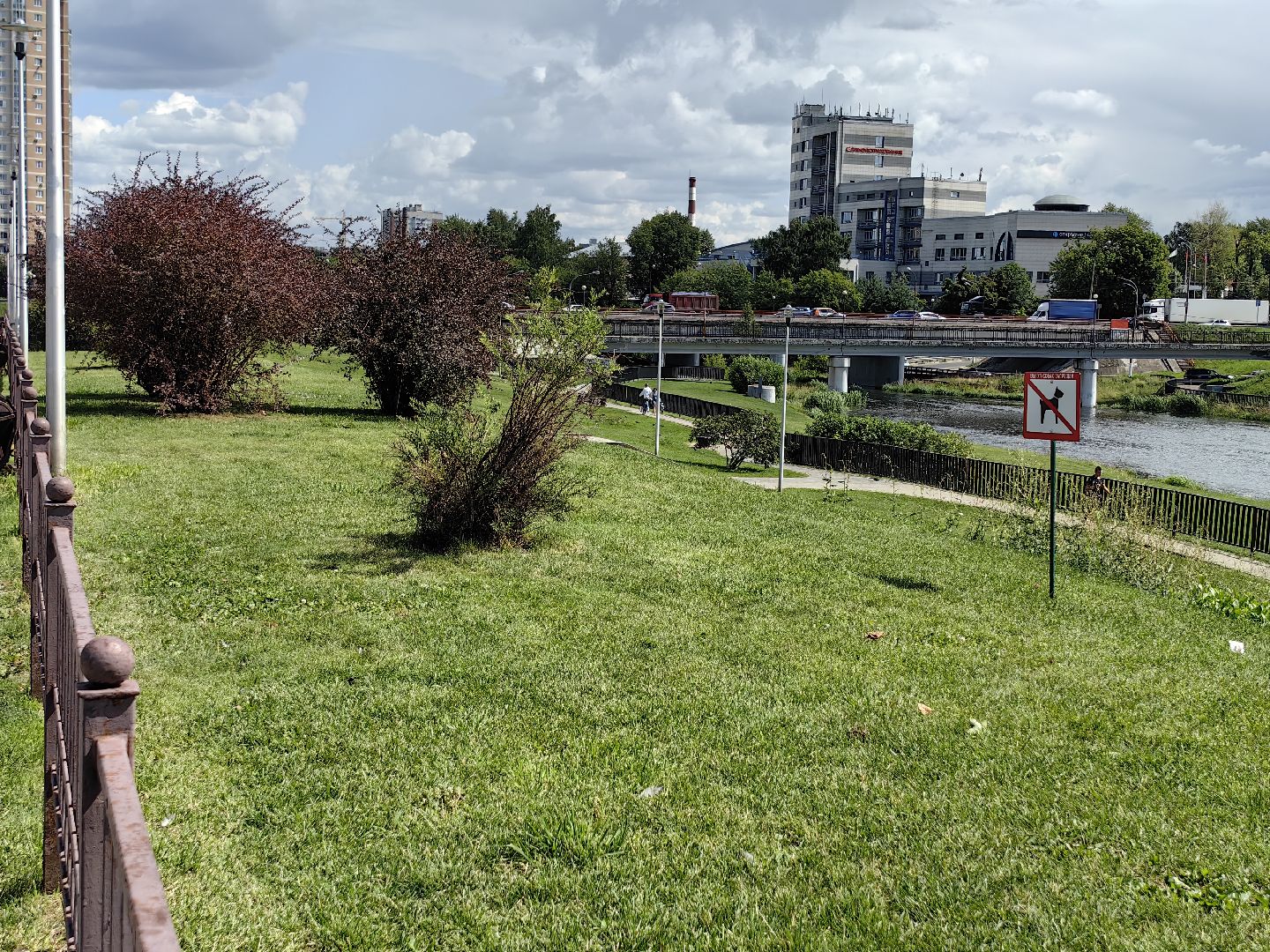 Собака, выгул, табличка, набережная, намордник