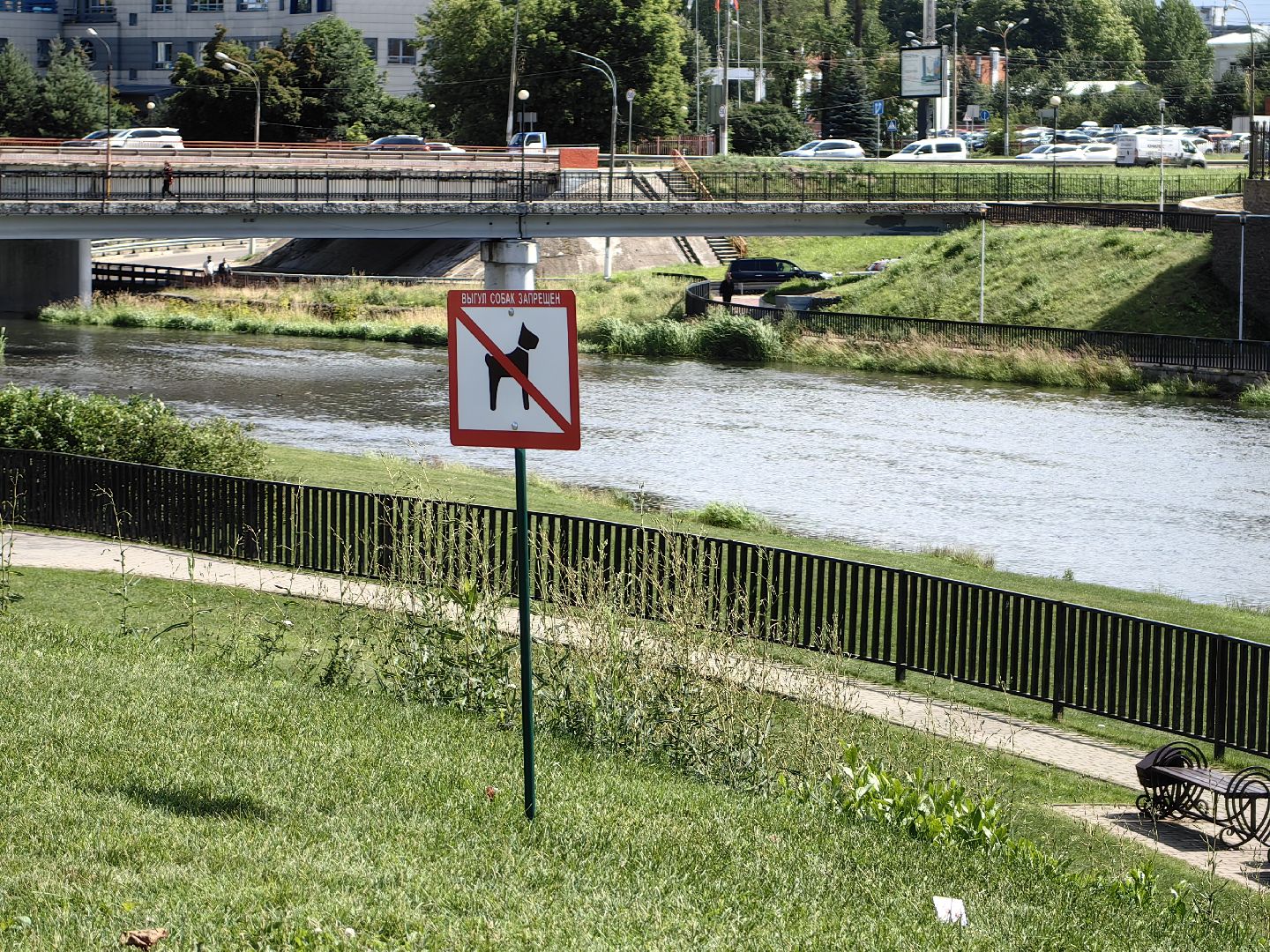Собака, выгул, табличка, набережная, намордник