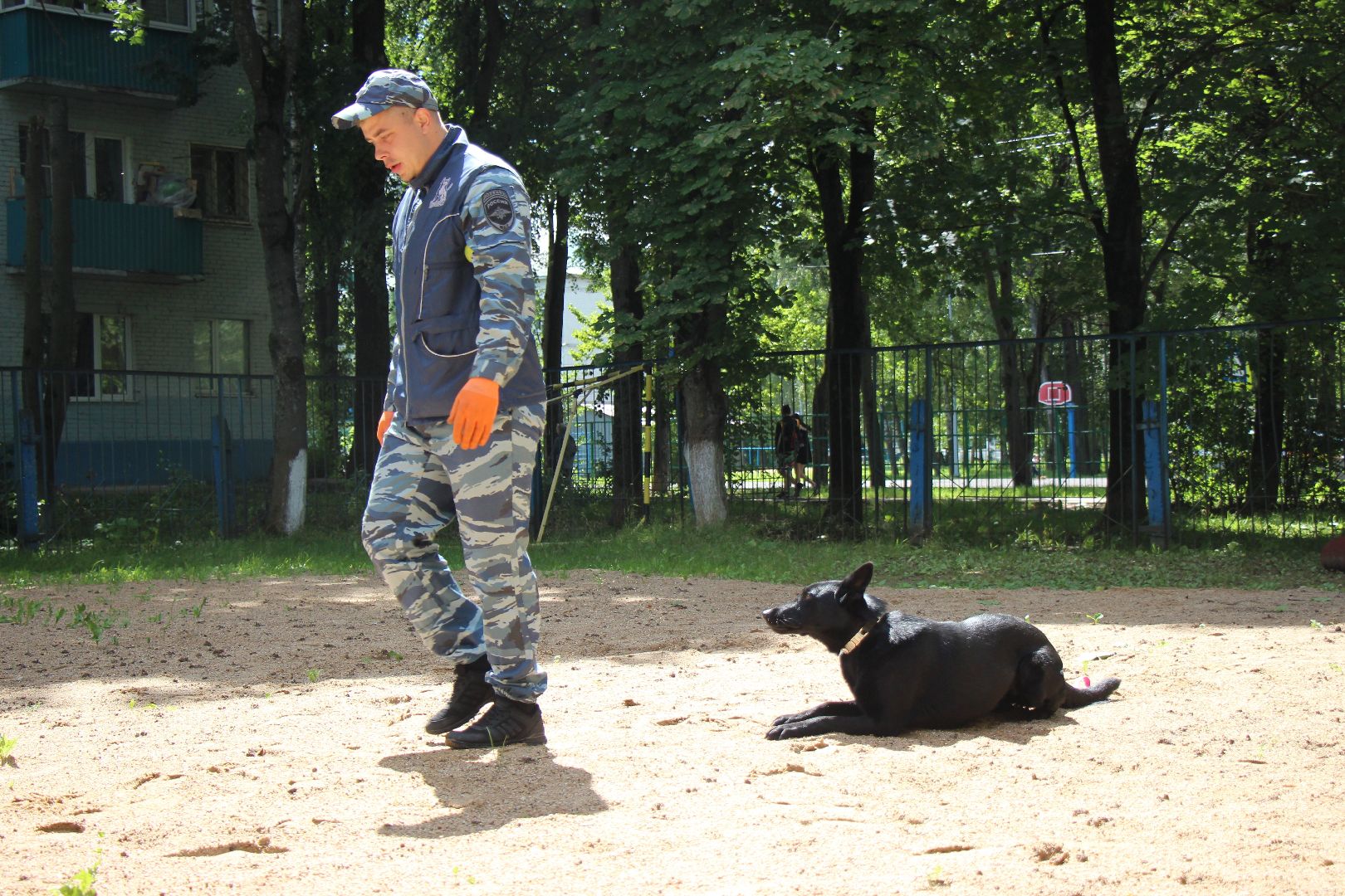 Лобня, полиция, собака