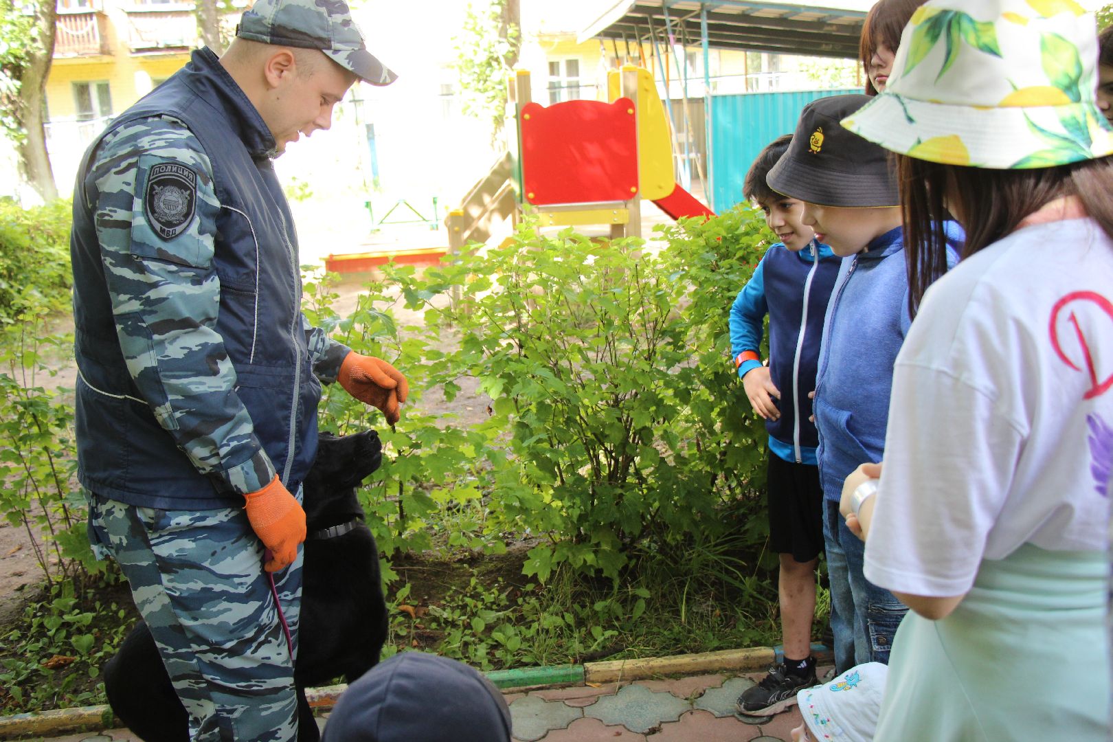 Лобня, полиция, собака