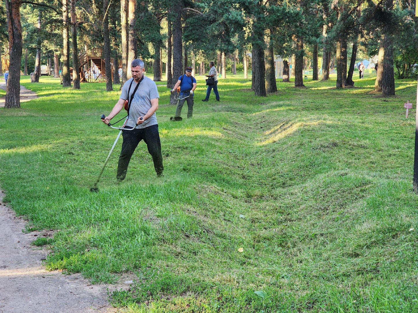 покос травы, Кузьминский лесопарк, благоустройство, Котельники