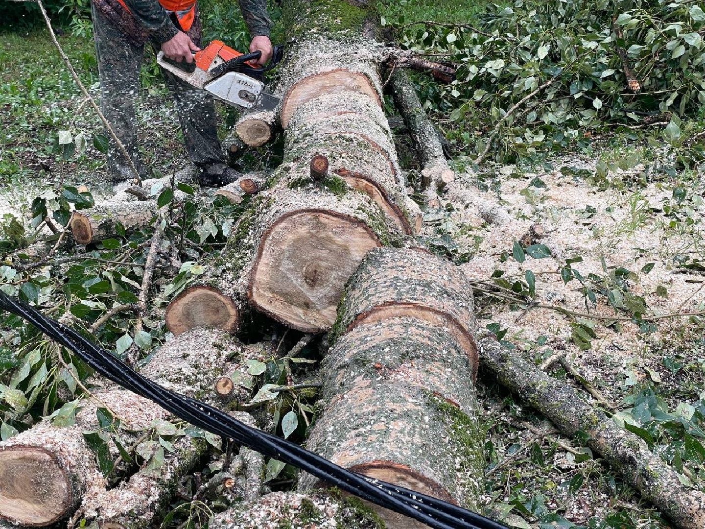 Сергиево-Посадский городской округ, Сергиев Посад, Непогода, Коммунальные службы, Ветер, Дождь