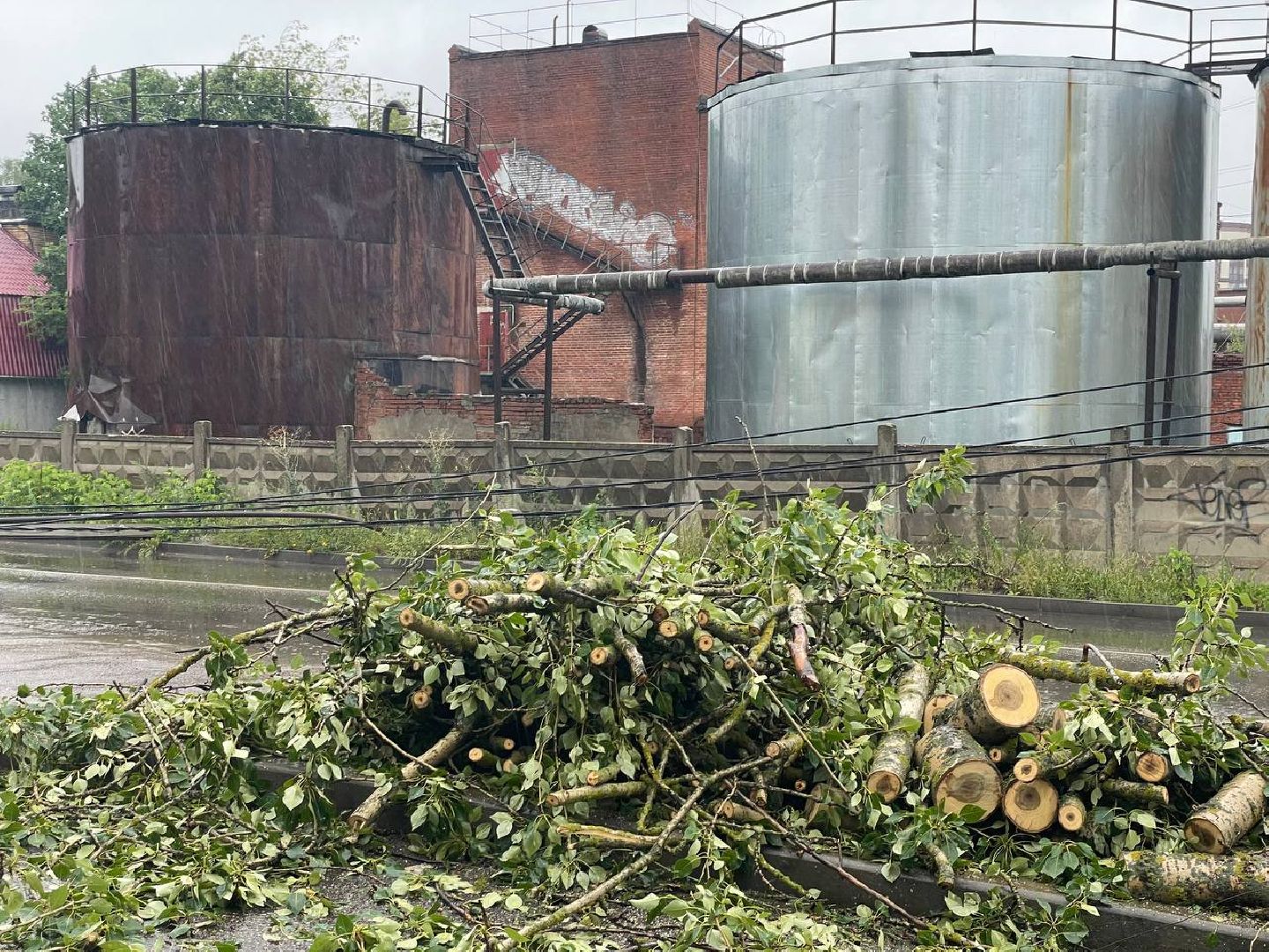 Сергиево-Посадский городской округ, Сергиев Посад, Непогода, Коммунальные службы, Ветер, Дождь