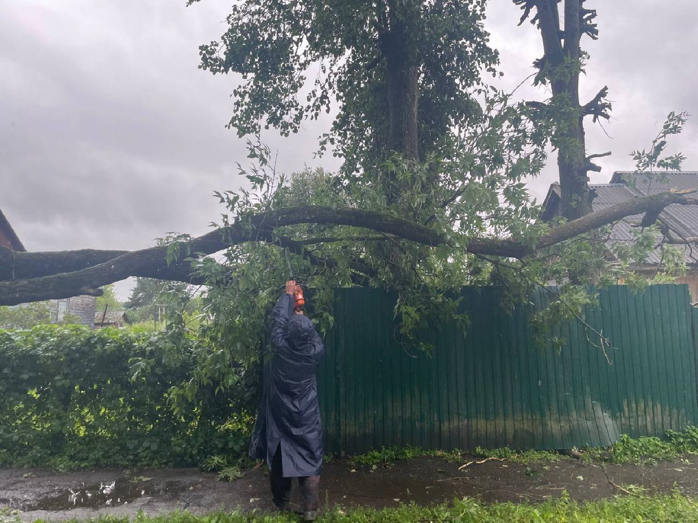 Сергиево-Посадский городской округ, Сергиев Посад, Непогода, Коммунальные службы, Ветер, Дождь