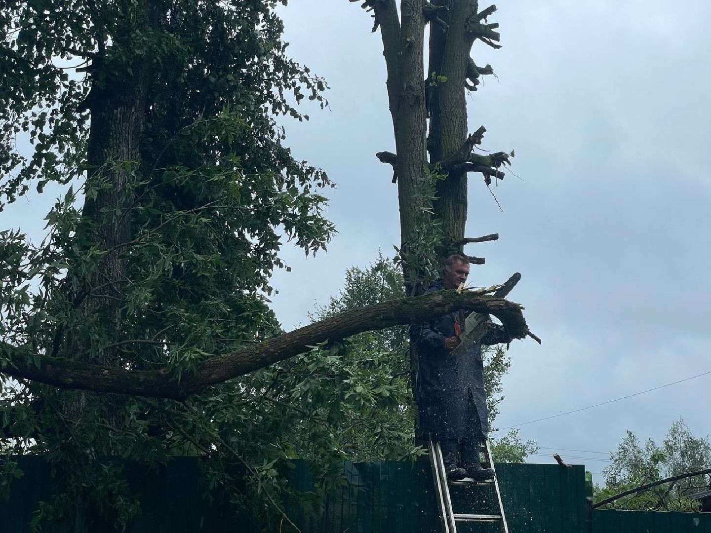 Сергиево-Посадский городской округ, Сергиев Посад, Непогода, Коммунальные службы, Ветер, Дождь