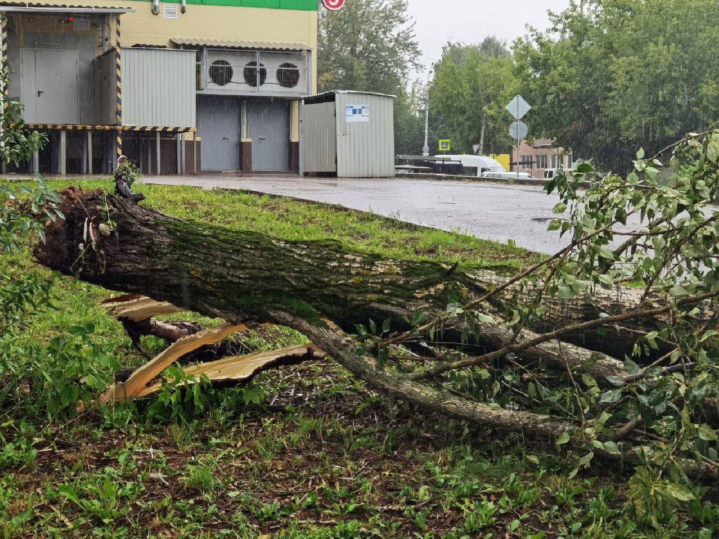 Сергиево-Посадский городской округ, Сергиев Посад, Непогода, Коммунальные службы, Ветер, Дождь