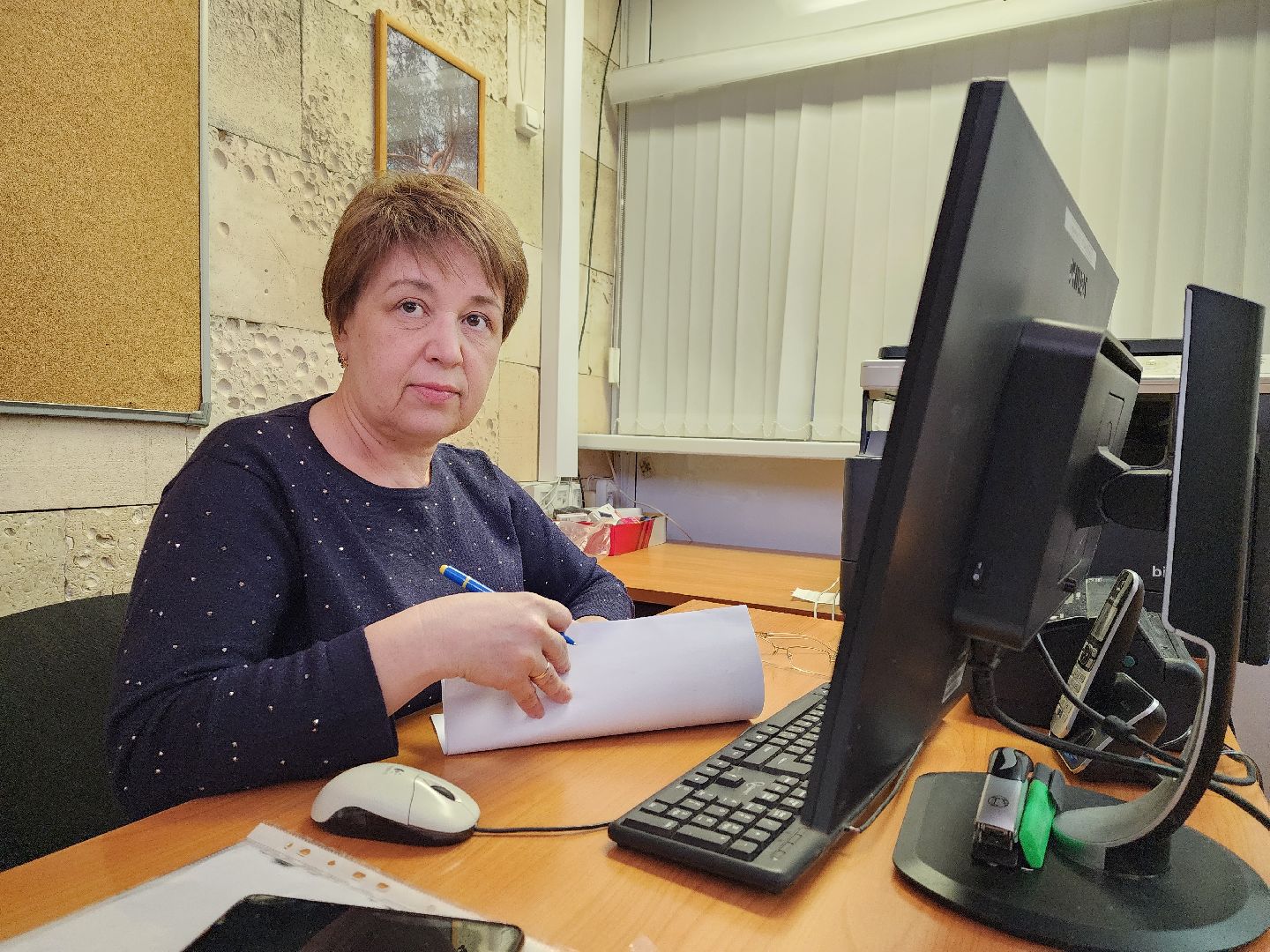 выборы губернатора, ТИК, Воскресенск, жители