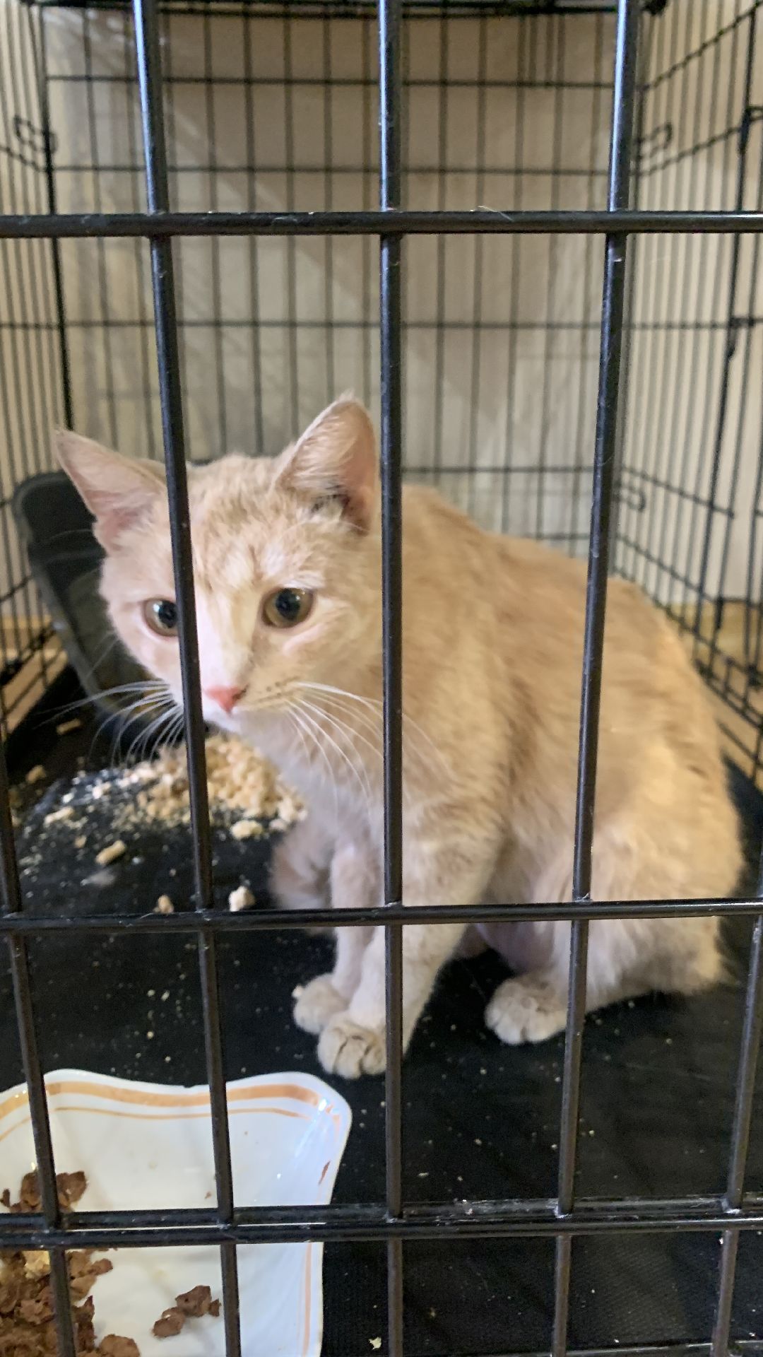 Ступино, общество