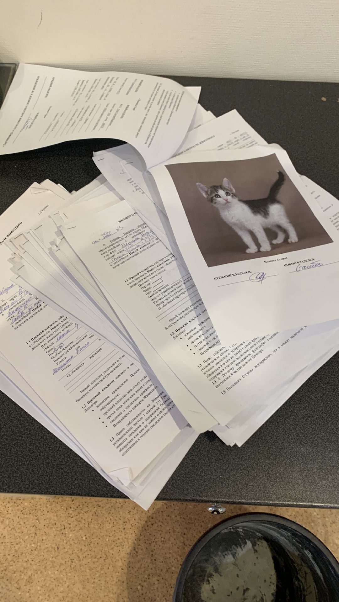 Ступино, общество