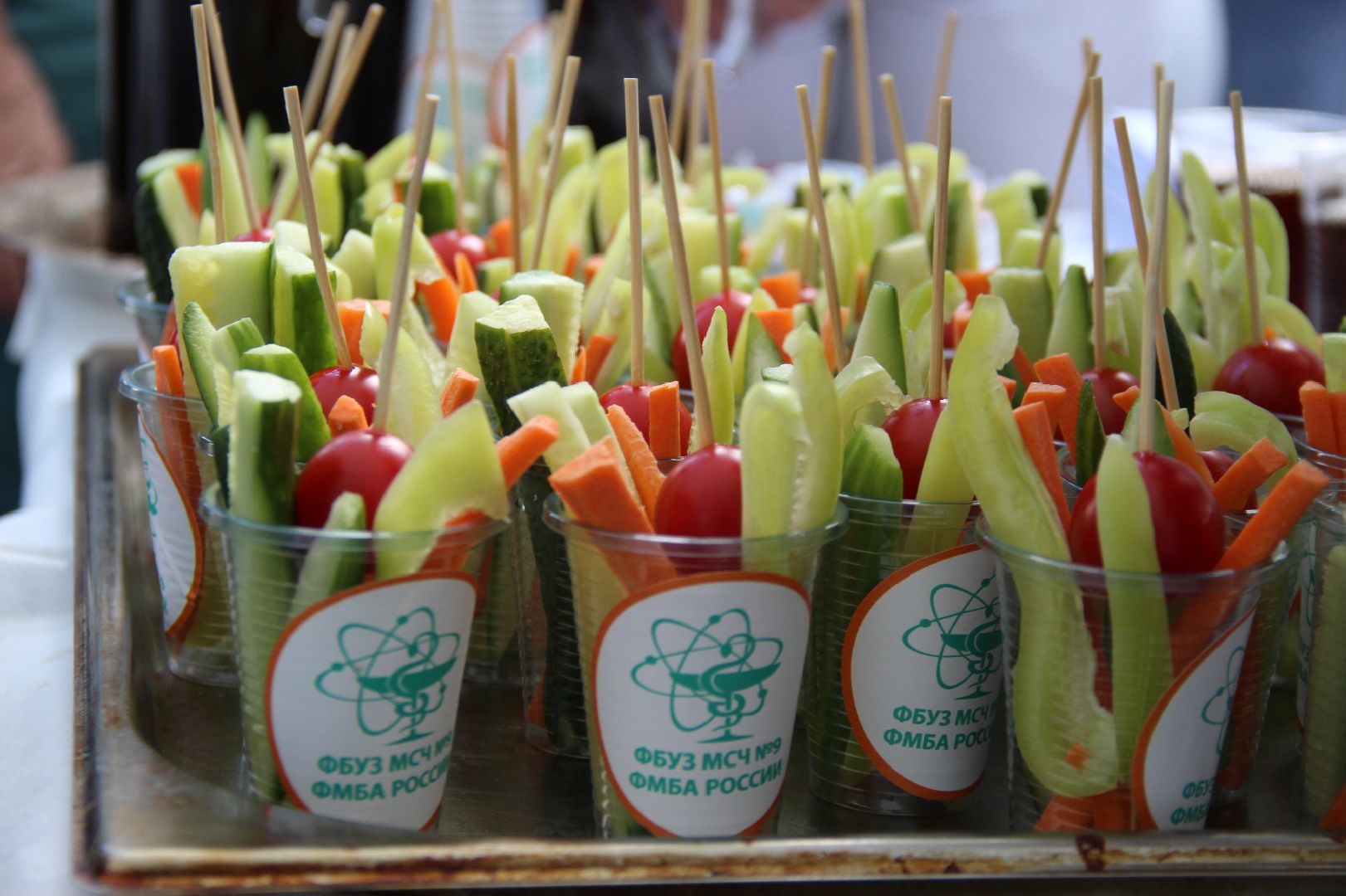 Городок здоровья, день города, ФБУЗ МСЧ №9 ФМБА России, Дубна