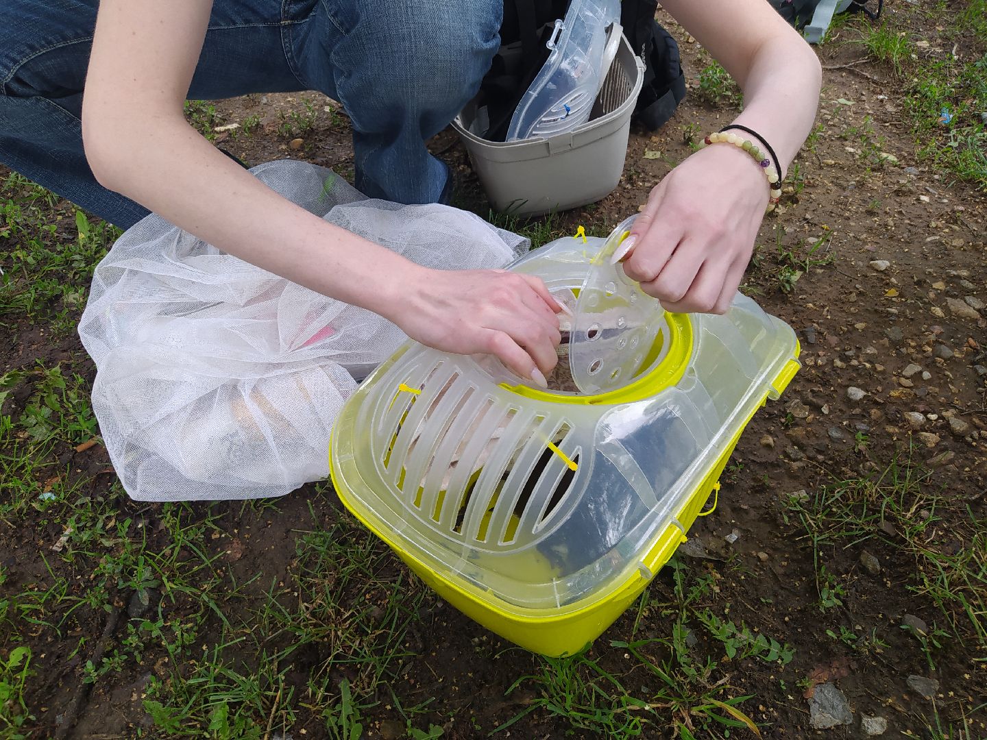 Нахабино, крысы, мусор