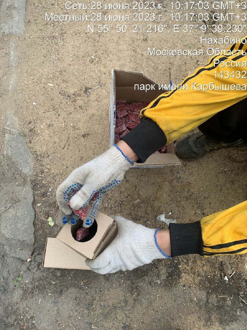 Нахабино, крысы, мусор