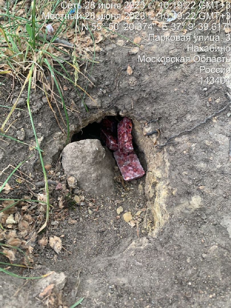 Нахабино, крысы, мусор