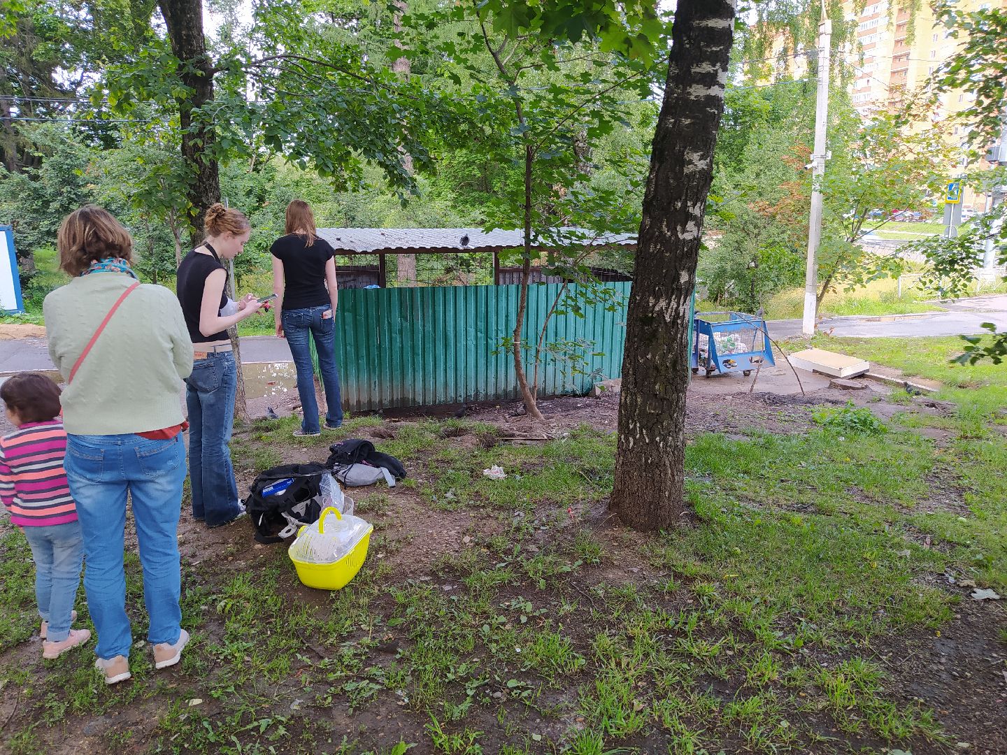 Нахабино, крысы, мусор