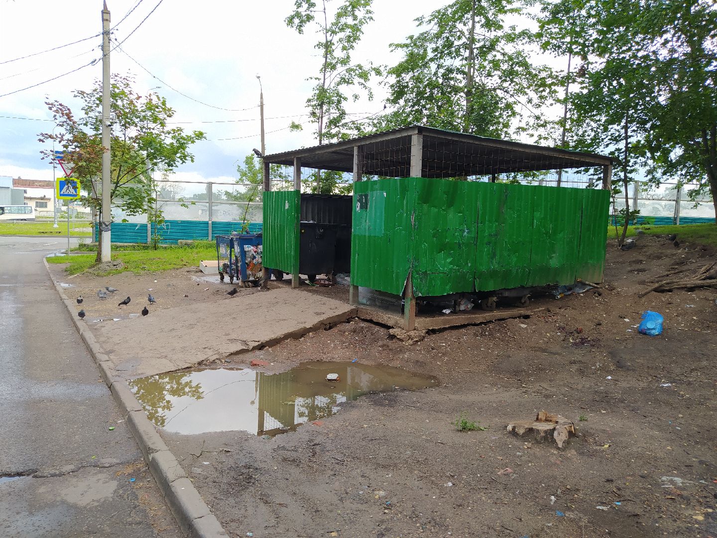 Нахабино, крысы, мусор