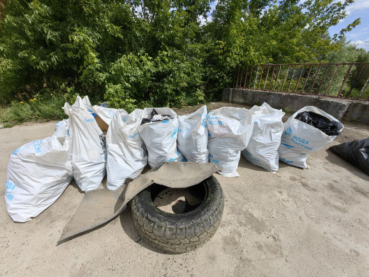 Мусор, берег, водоём, акция, волонтёры