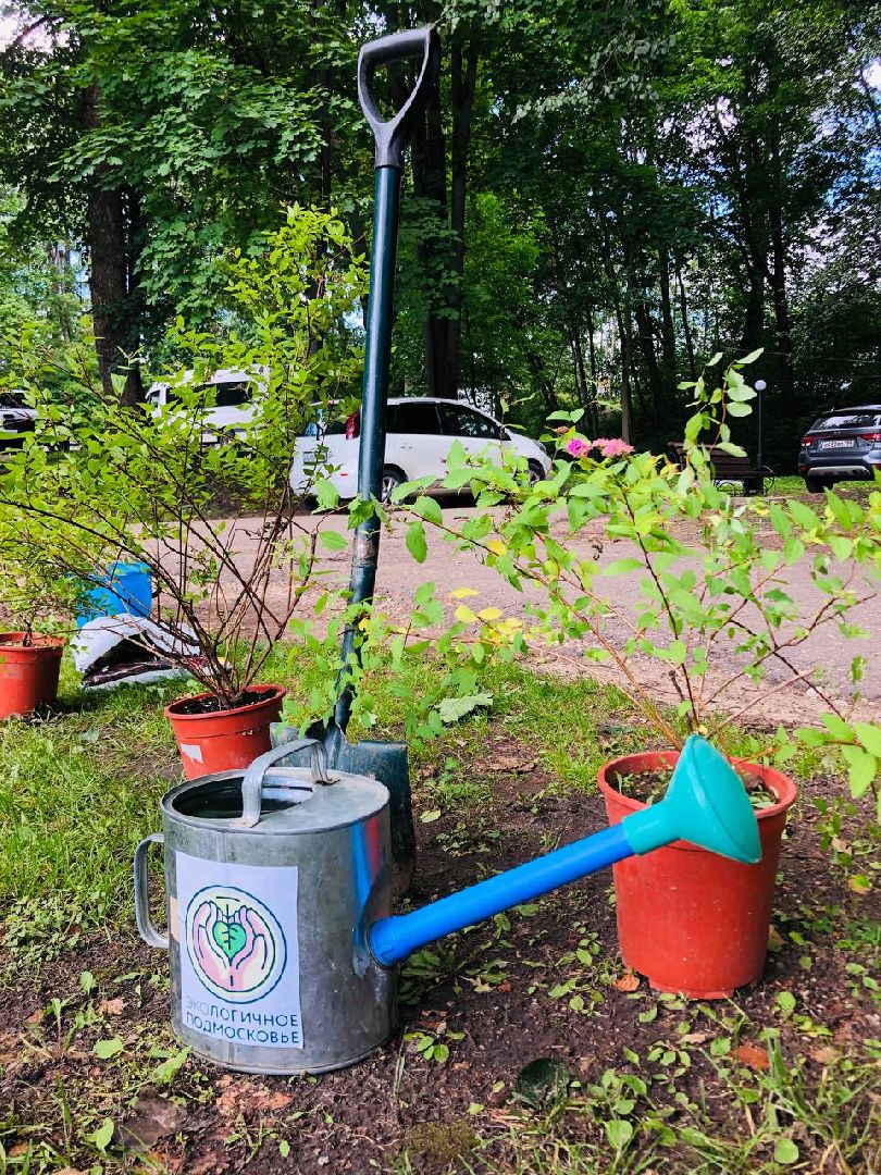 Руза, волонтеры подмосковья, экология, субботник, уборка мусора