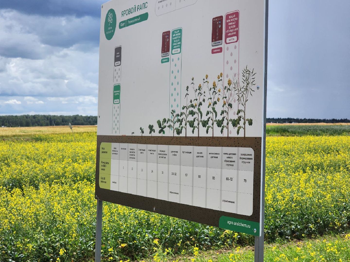 Домодедово, агрофорум, селекция, сельскохозяйственные культуры, сельскохозяйственная отрасль, научные исследования