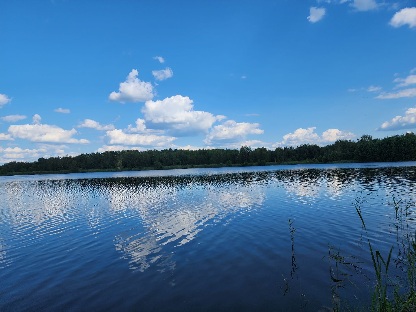 Павловский Посад, городской округ Павловский Посад, отдых, люди, лето, Байкал, озеро