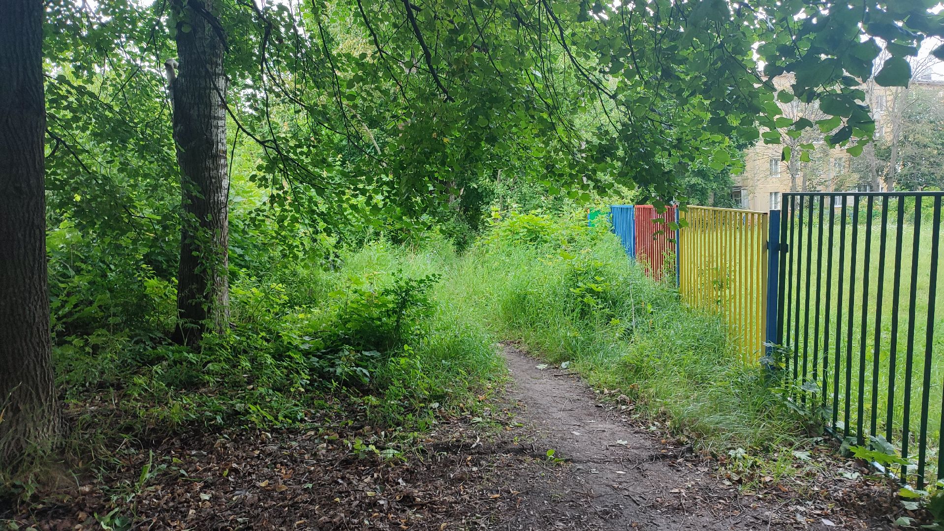 Кашира, тротуар, народная тропа, пешком, программа губернатора