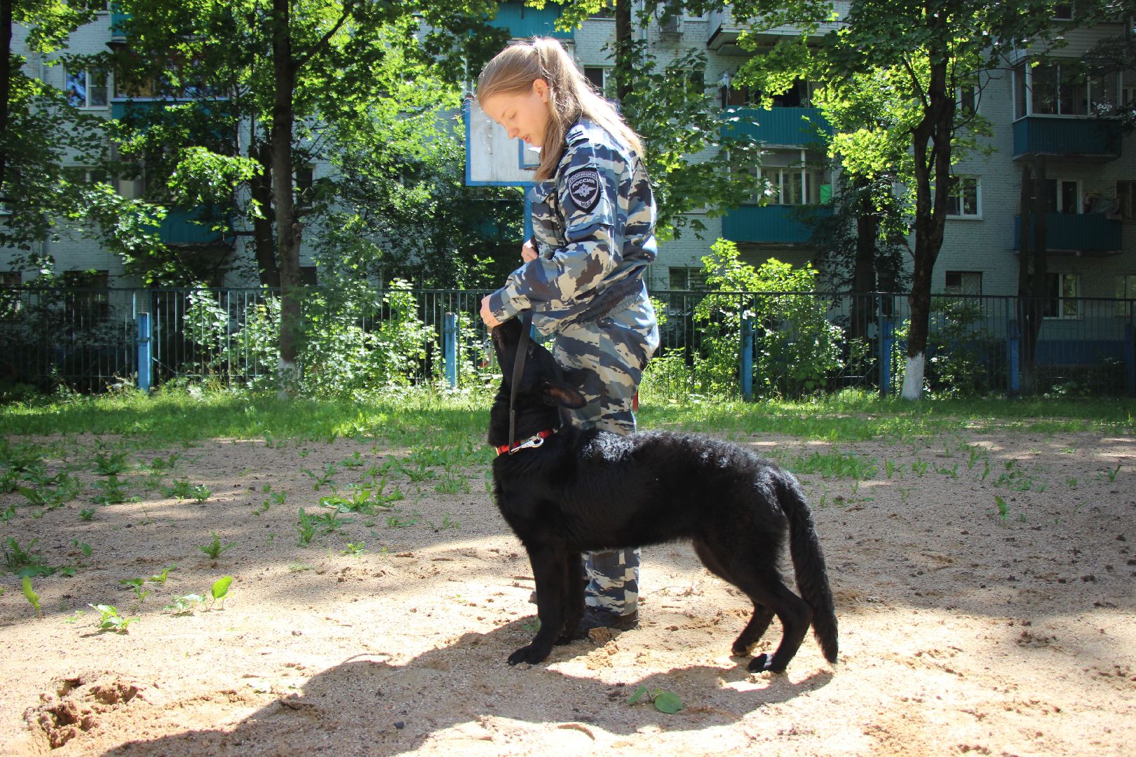 Лобня, собака, кинолог