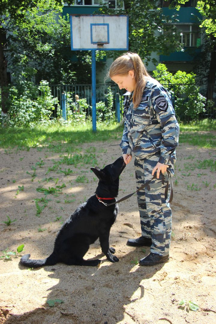 Лобня, собака, кинолог