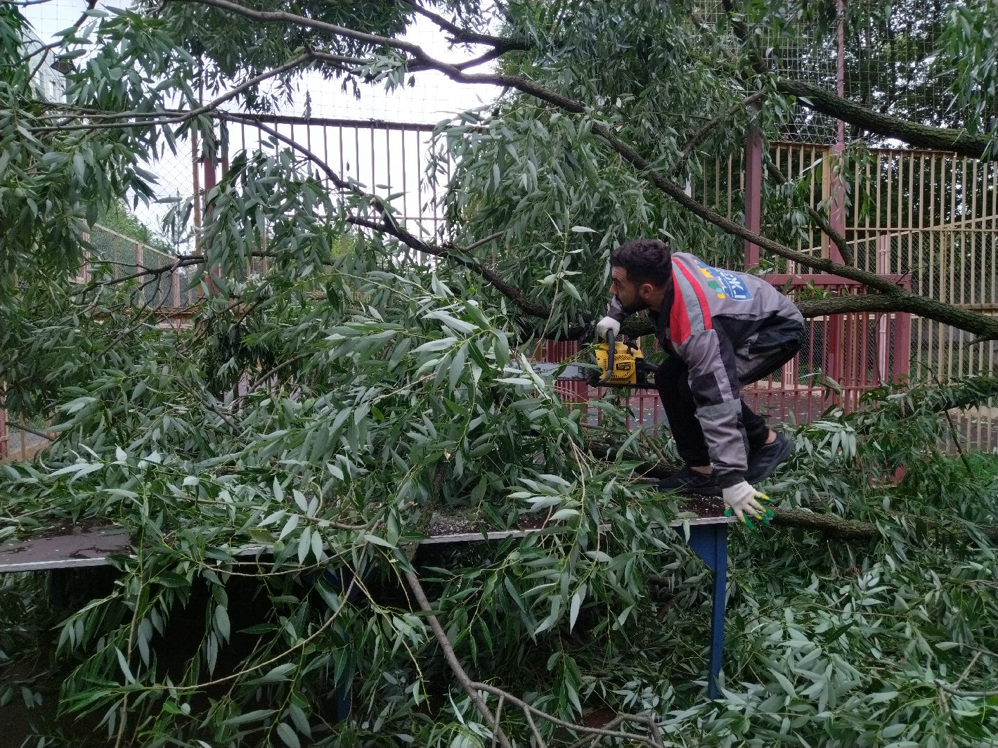 Непогода, Подмосковье, Мытищи, коммунальные службы