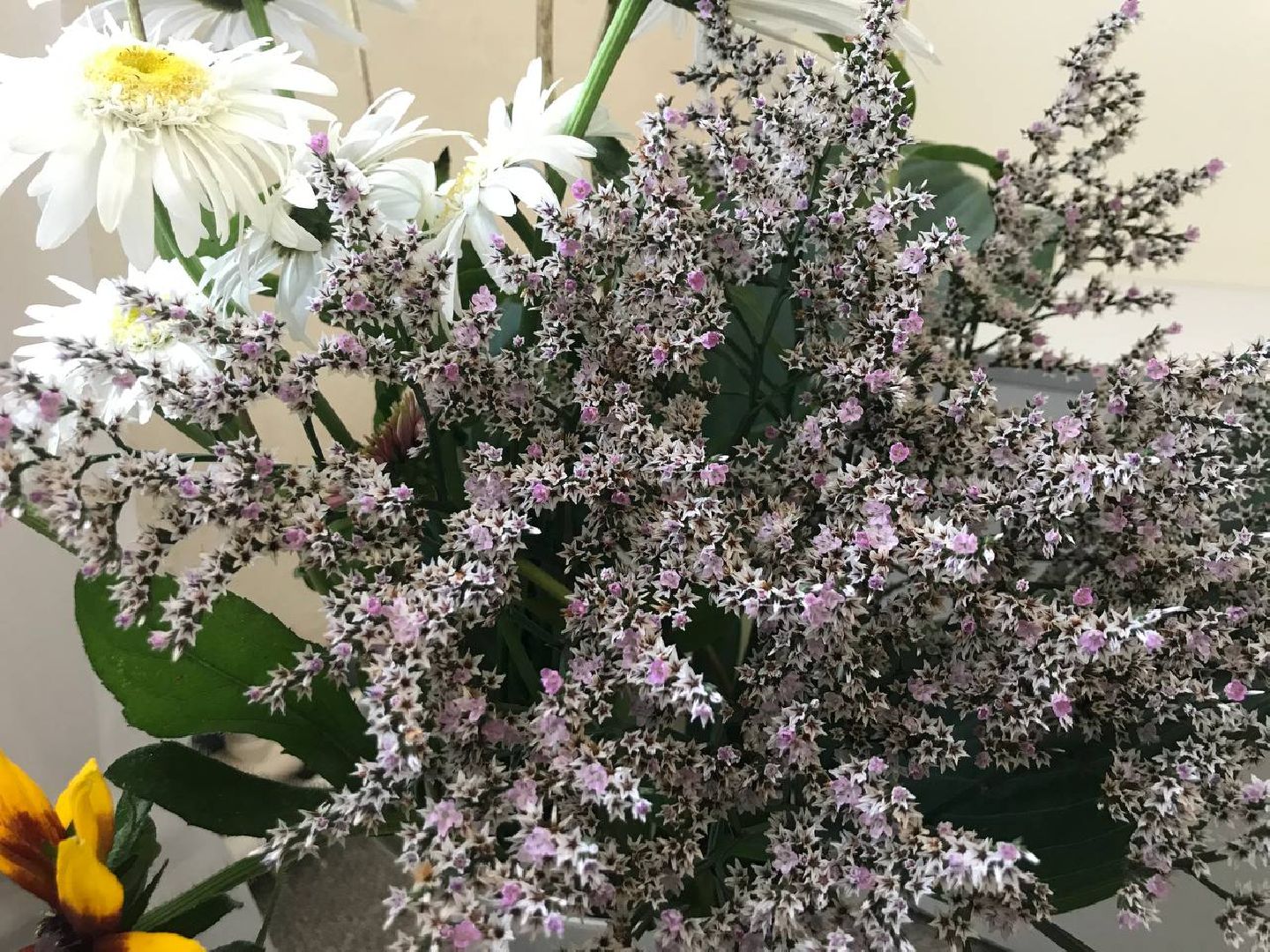 Коломна, общество, сельское хозяйство