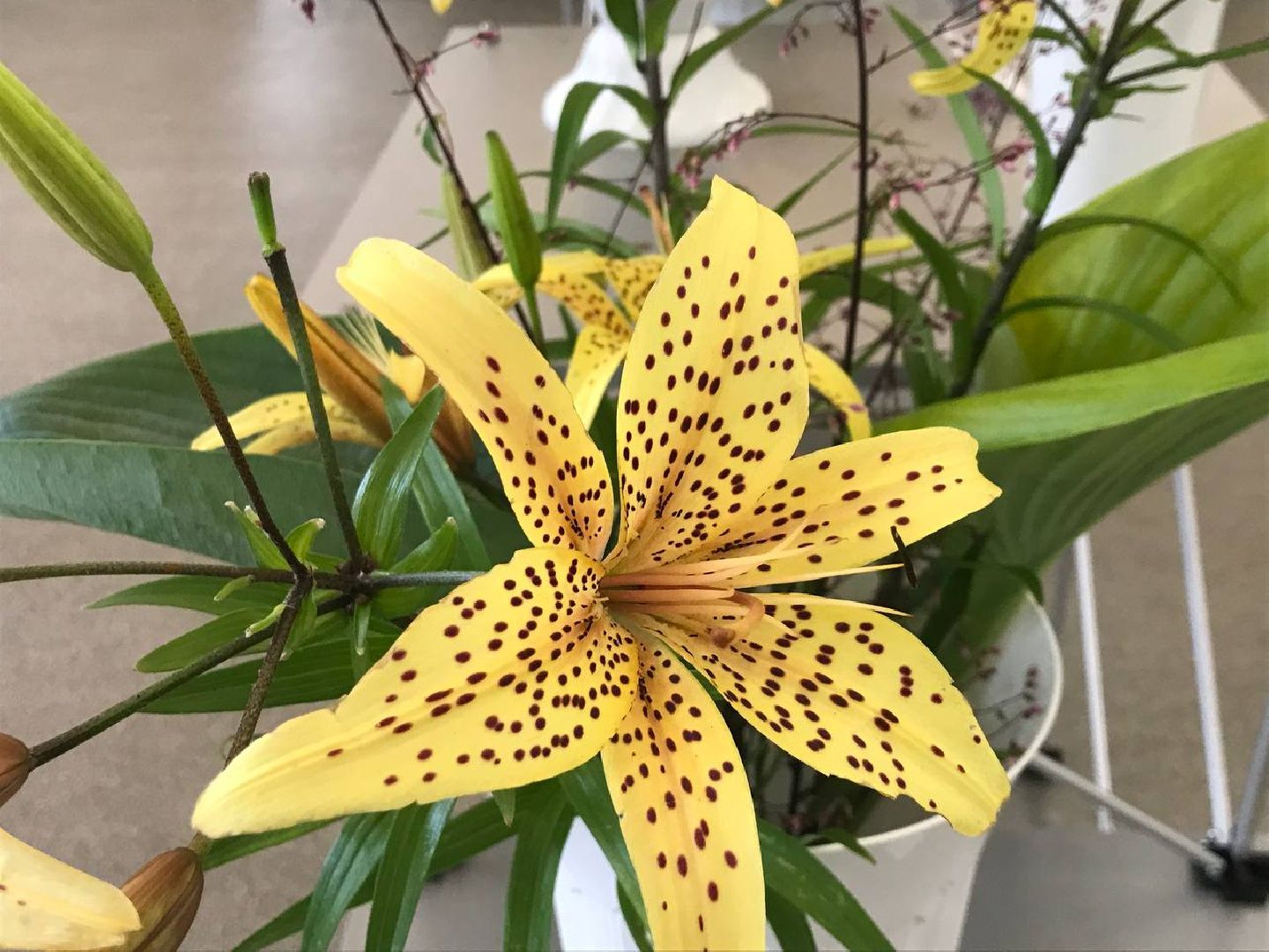 Коломна, общество, сельское хозяйство