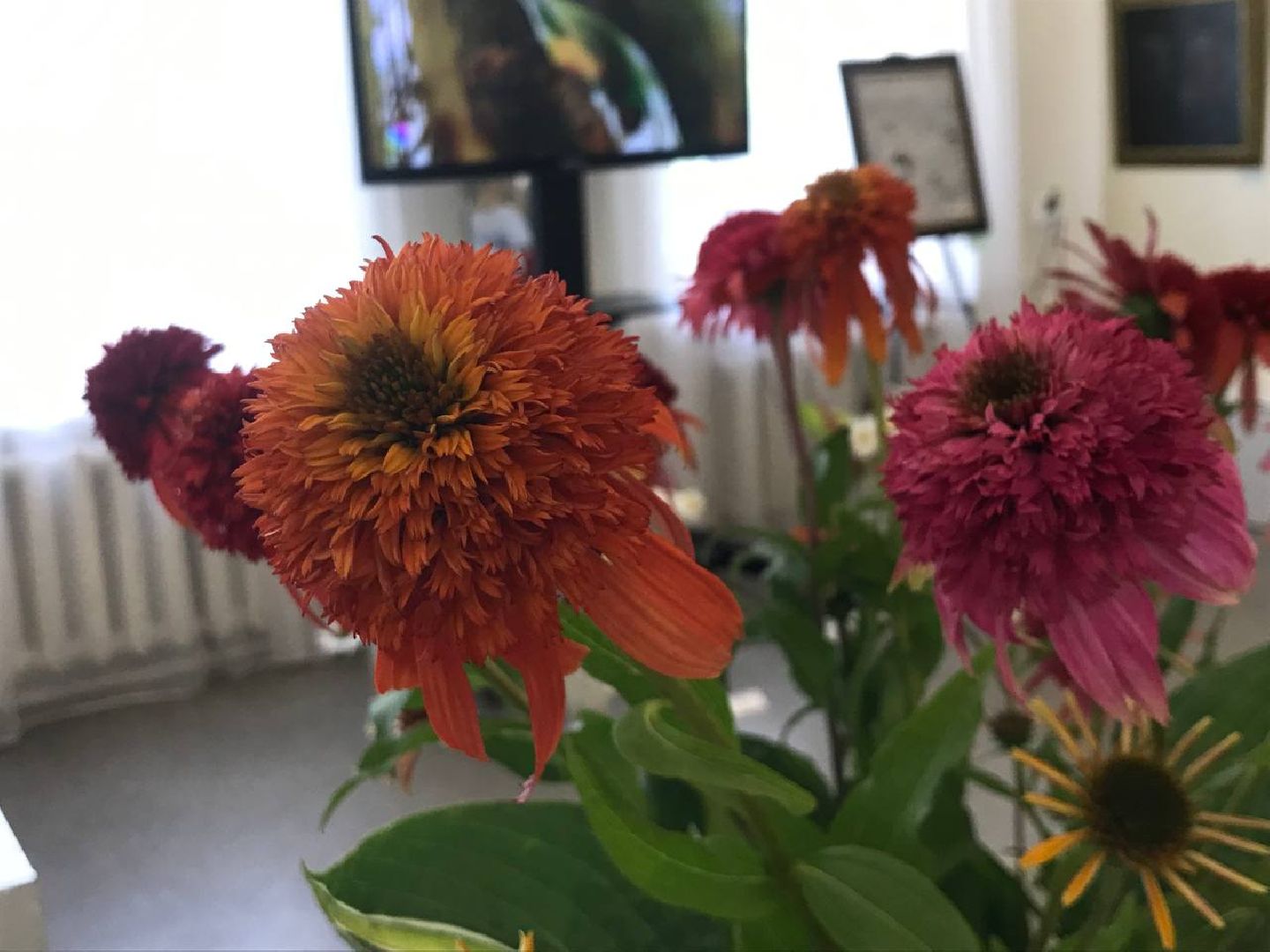 Коломна, общество, сельское хозяйство