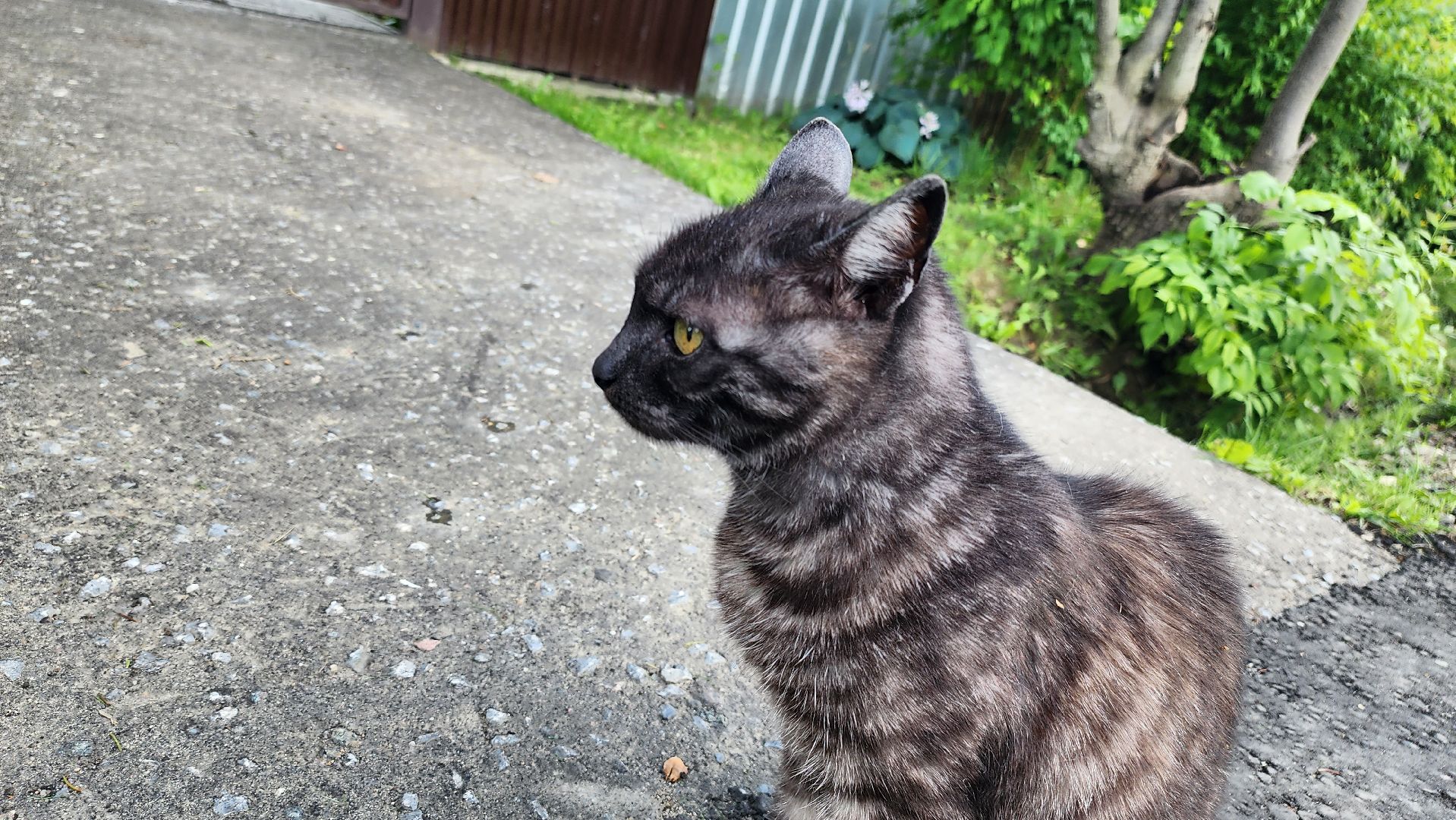 Россети, Правдинский, ЖКХ, общество, Пушкинский округ