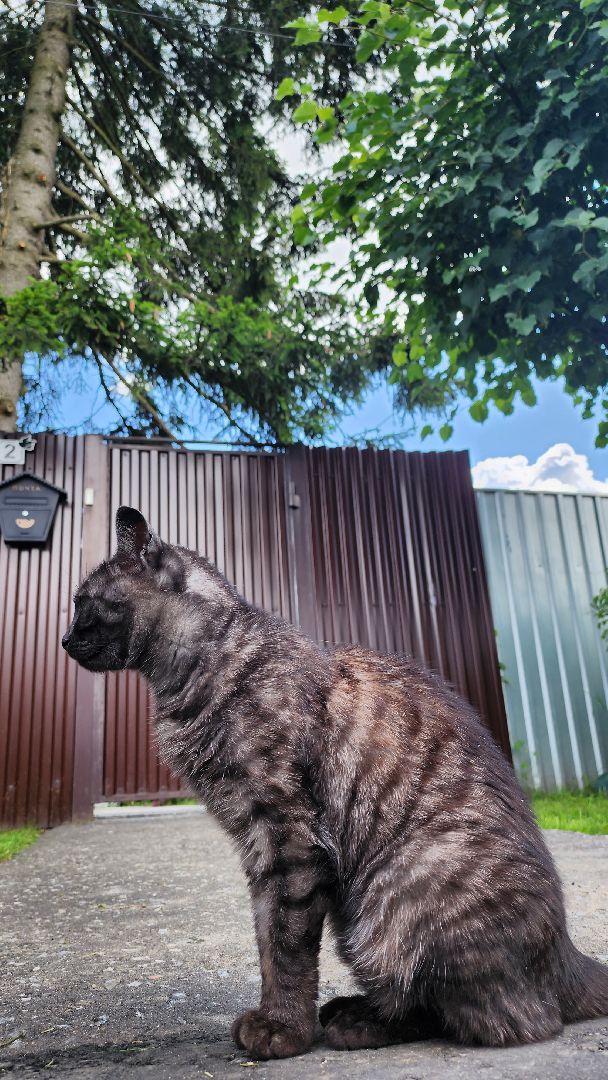 Россети, Правдинский, ЖКХ, общество, Пушкинский округ