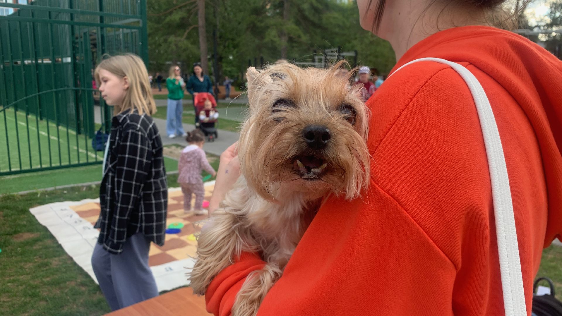 Ступино, день двора, лето в подмосковье