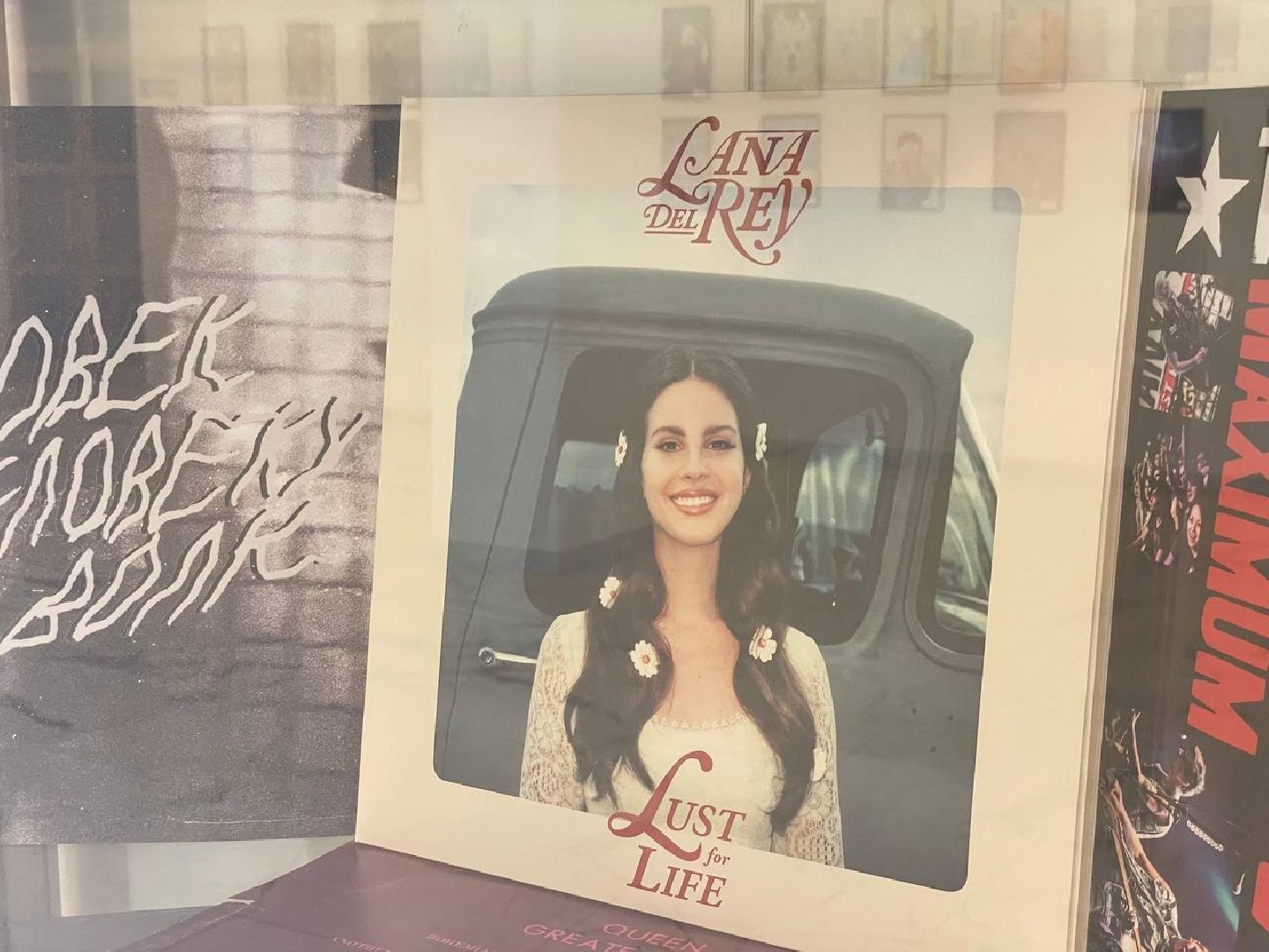 Сергиево-Посадский городской округ, Пересвет, Космос, Выставка, Винил, Музыка, МГЕР, Молодая Гвардия Единой России, Культура