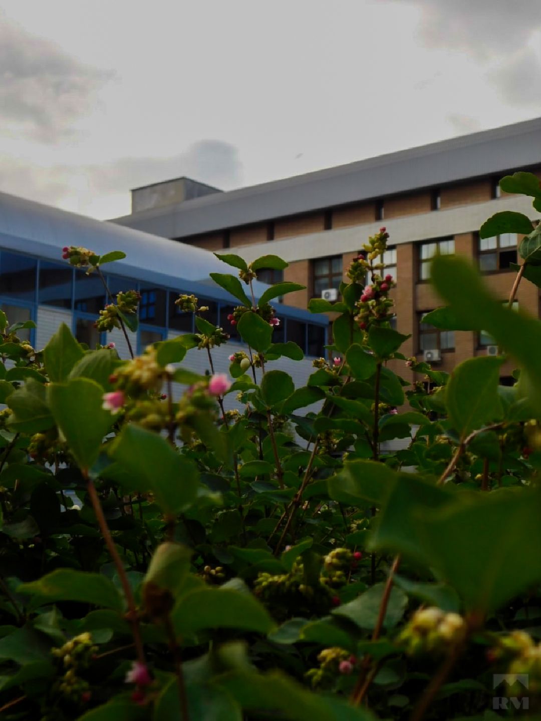 РТА, фильм, история