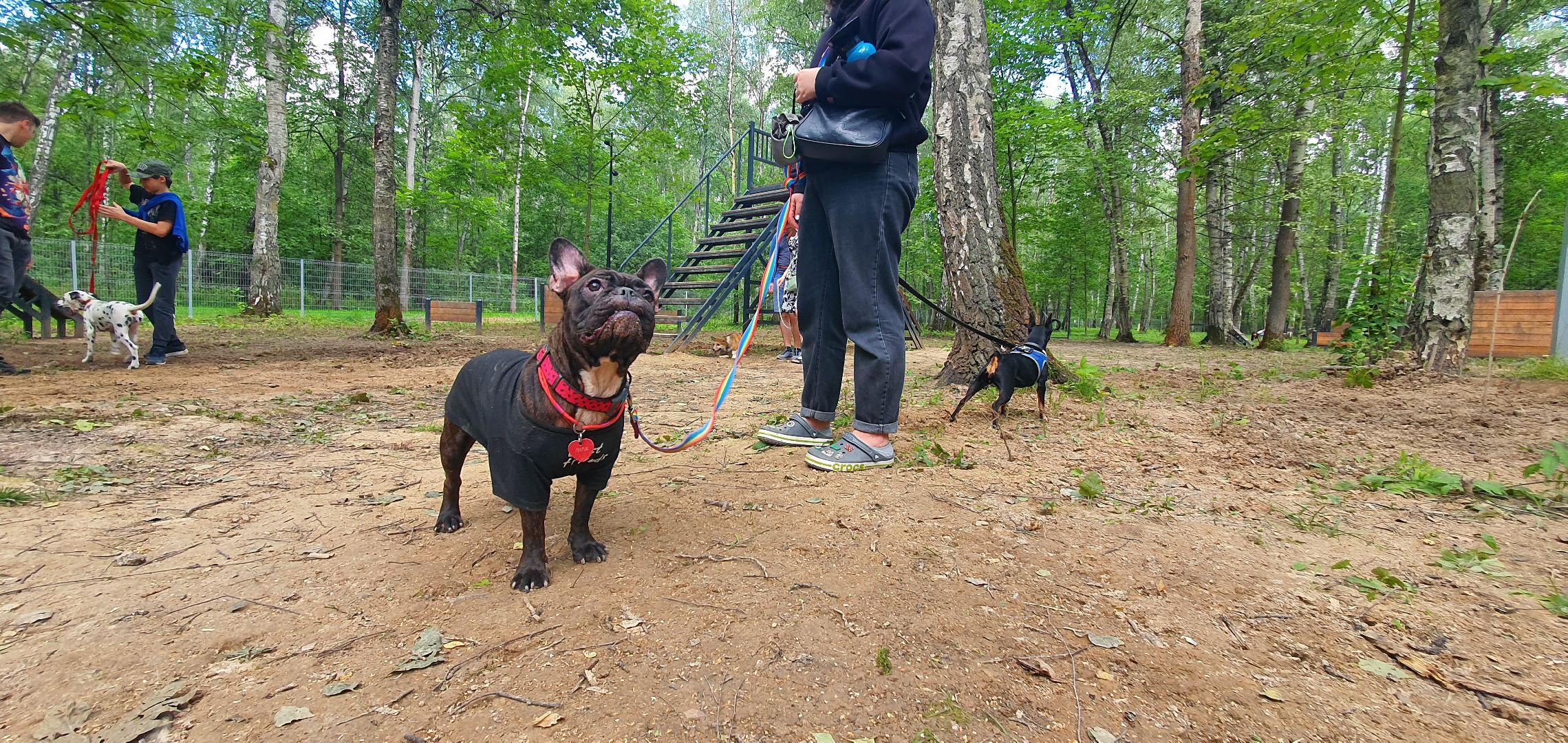 Парк Взлёт, фотовыставка собак, Домодедово