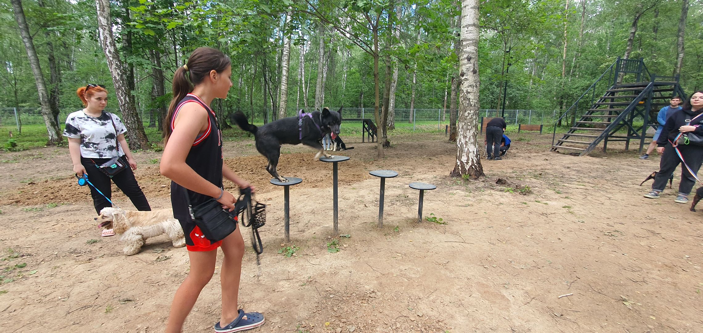 Парк Взлёт, фотовыставка собак, Домодедово